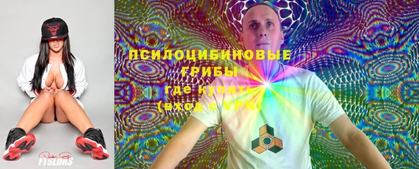 PSILOCYBIN Богородск