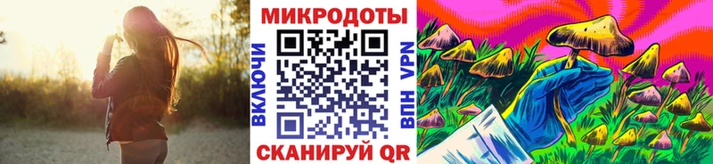 купить закладку кракен онион Галлюциногенные грибы мицелий Сковородино